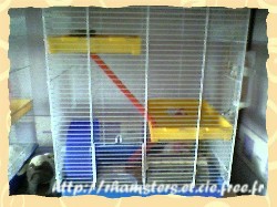 cage d'un hamster